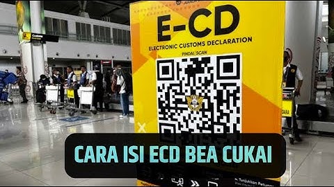 CARA ISI ECD BEA CUKAI aturan baru secara online 2025 | vlog #132