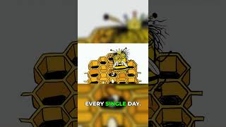 Queen Bee & The Sacrifice of Drones!