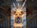 TrustMRR #shorts #feed #creatortools #reels