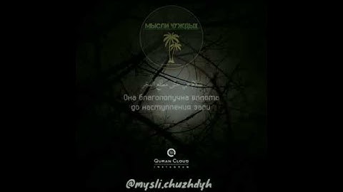 #تلاوات #ماهر_المعيقلي #ياسر_الدوسري #ناصر_القطامي #السديس #خالد_الغامدي(1)
