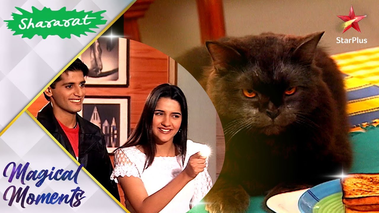 Shararat - Thoda Jaadu, Thodi Nazaakat | Jiya Make her Nani A Cat by Magic