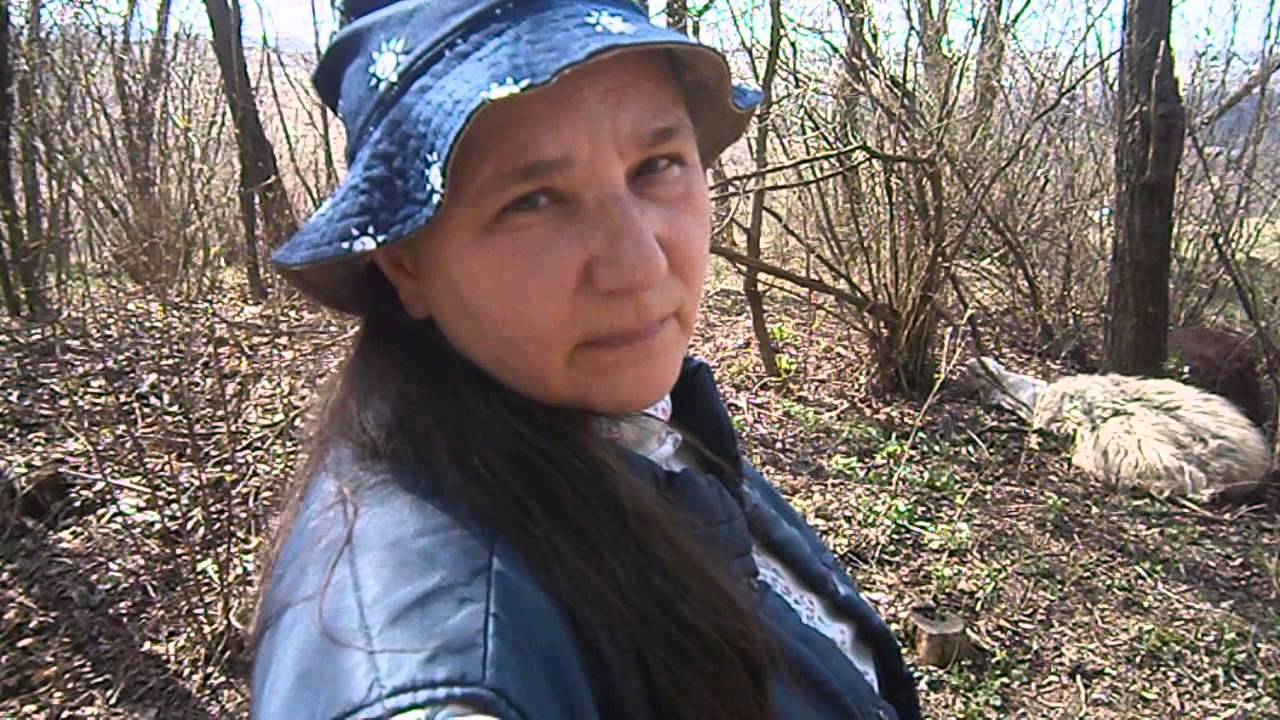 Рождение ягненка