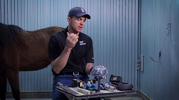 Easyboot Fury Glue On Fit Kit and Application Steps