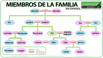 ¿Cómo se llama el hijo de mi sobrino para mí?