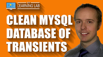 Database Cleaner Plugin That Removes Expired Transients | WP Learning Lab