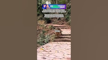 Топ инфа #cs2 #cs2funny #cs2clips #cs2moments #cs2memes #кс2 #кс2мемы #кс2приколы #knifex #csgo #cs