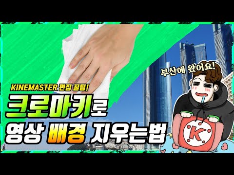 키네마스터로 영상 배경을 지울 수 있나요?(feat. 크로마키) | 기태의 키네마스터