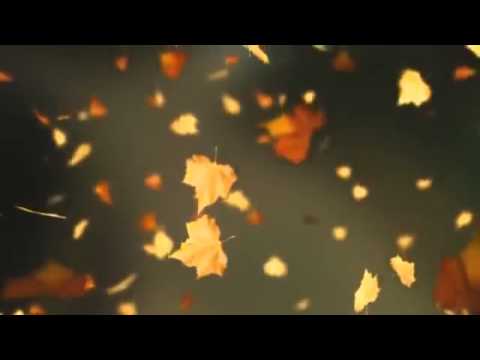 مقطع للمونتاج تساقط اوراق الخريف Falling Autumn Leaves Background