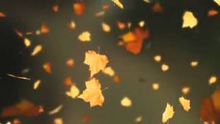 مقطع للمونتاج   تساقط اوراق الخريف Falling Autumn Leaves Background loop 2