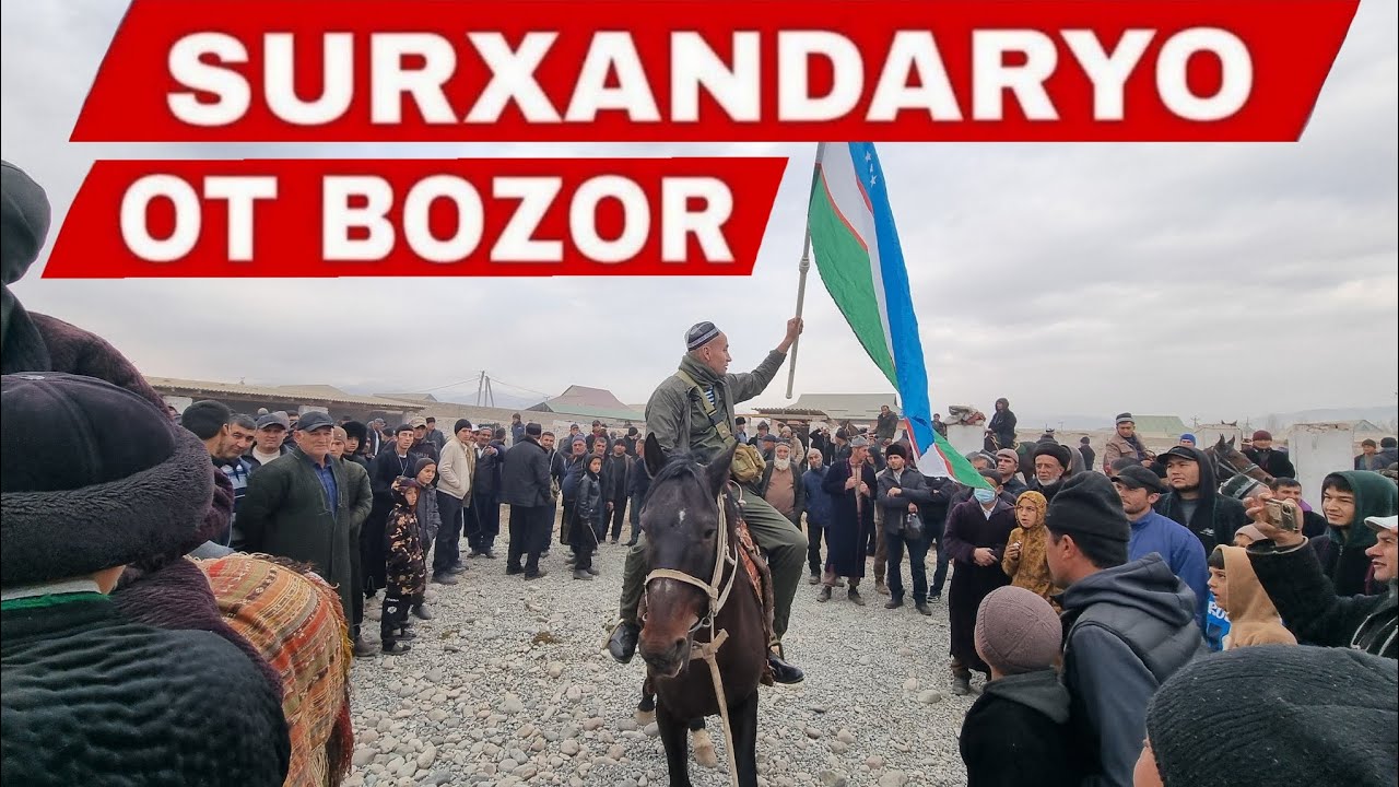 Ot bozor Narxlari 4-Dekabr  Surxondaryo viloyati Sariosiyo ot bozori 2025 #ot_bozor
