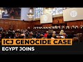 Why egypt joining icj case against israel is unprecedented  al jazeera newsfeed