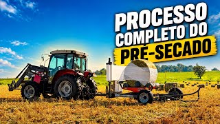 Produção de pré secado completa. Um dia na fazenda trabalhando com pré secado