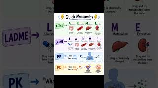 Quick learn kinetic & dynamic || #bpharma #shorts #studymed #mbbs s #nursing #drugs #viral #comedy