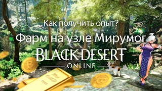 КАК ПОЛУЧИТЬ ОПЫТ В BDO? Фарм на узле Мирумог (опыт) | Black Desert Online