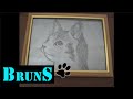 The hard way to draw a cat