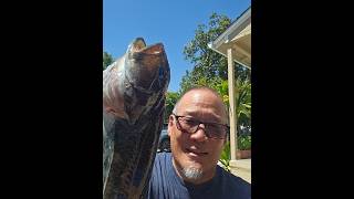 Central coast fishing for halibut and mackerel. Fresh squid for bait.