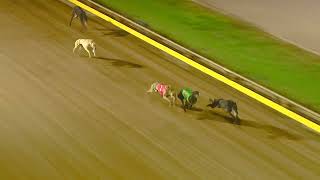 GEL TUE 07 APR 26 ST1