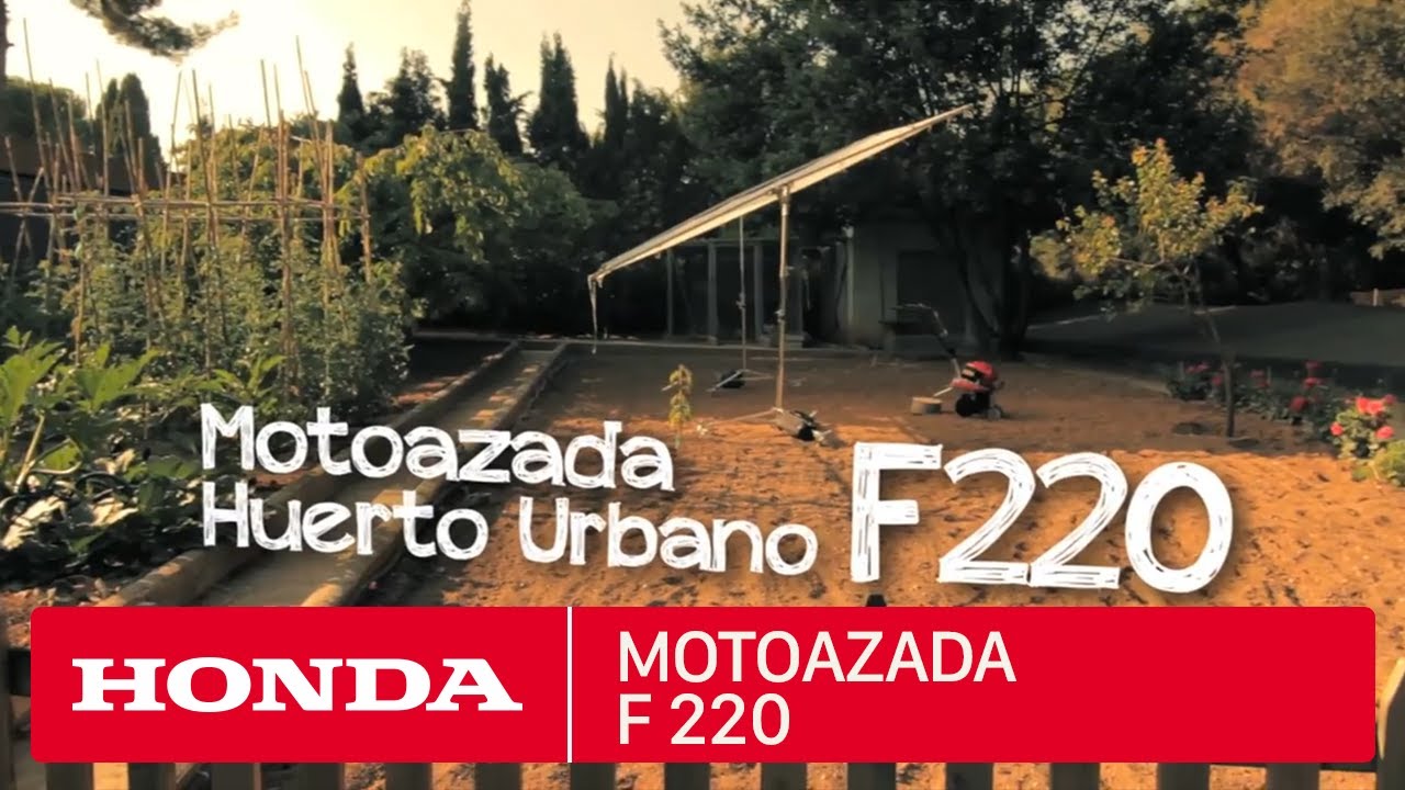 Motoazada Honda F 220 –