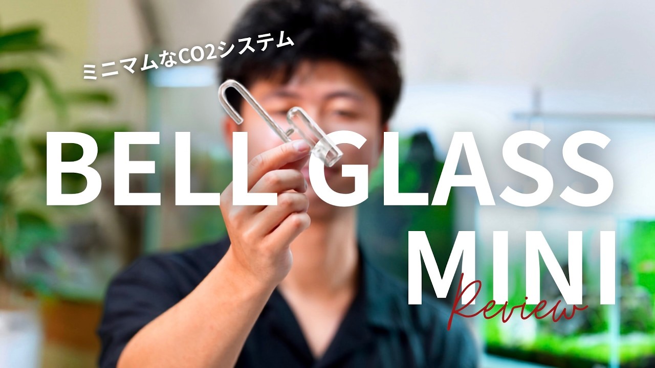 Perfect for Small Tanks? Reviewing the ADA Bell Glass Mini - YouTube