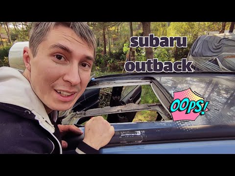 Синдром Субариста: Течь люка в Ледовике испортила потолок , новый механик в помощь