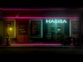 Hamed Abbas Habiba حامد عباس حبيبة Prod By DJ DIAA Official Lyrics Video 