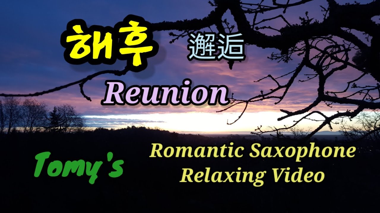 해후(reunion)/최성수/Tomy/#romanticsaxophone#relaxingvideo