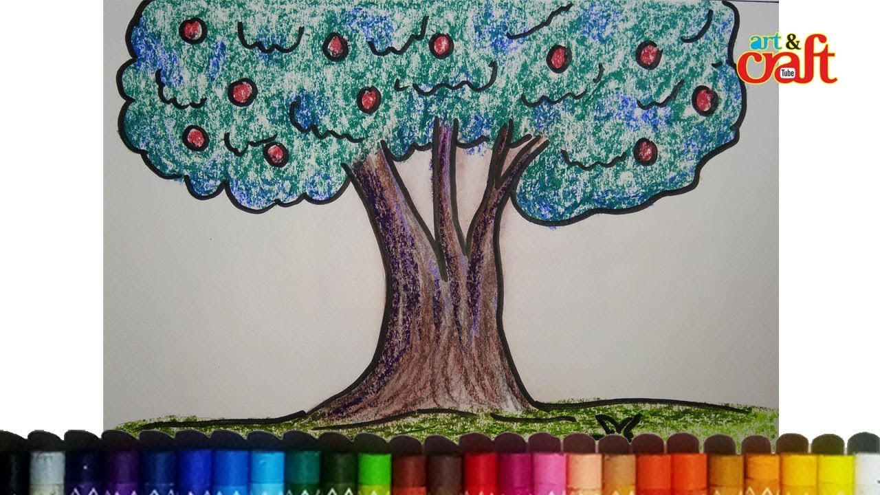 How To Draw Jamun Tree My Daily Li Fe