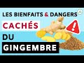 Gingembre ses dangers et bienfaits pour la sante aliment miracle 