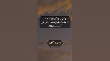 سورة النمل الآية ٦ الى ٨ بصوت الشيخ محمد صديق المنشاوي