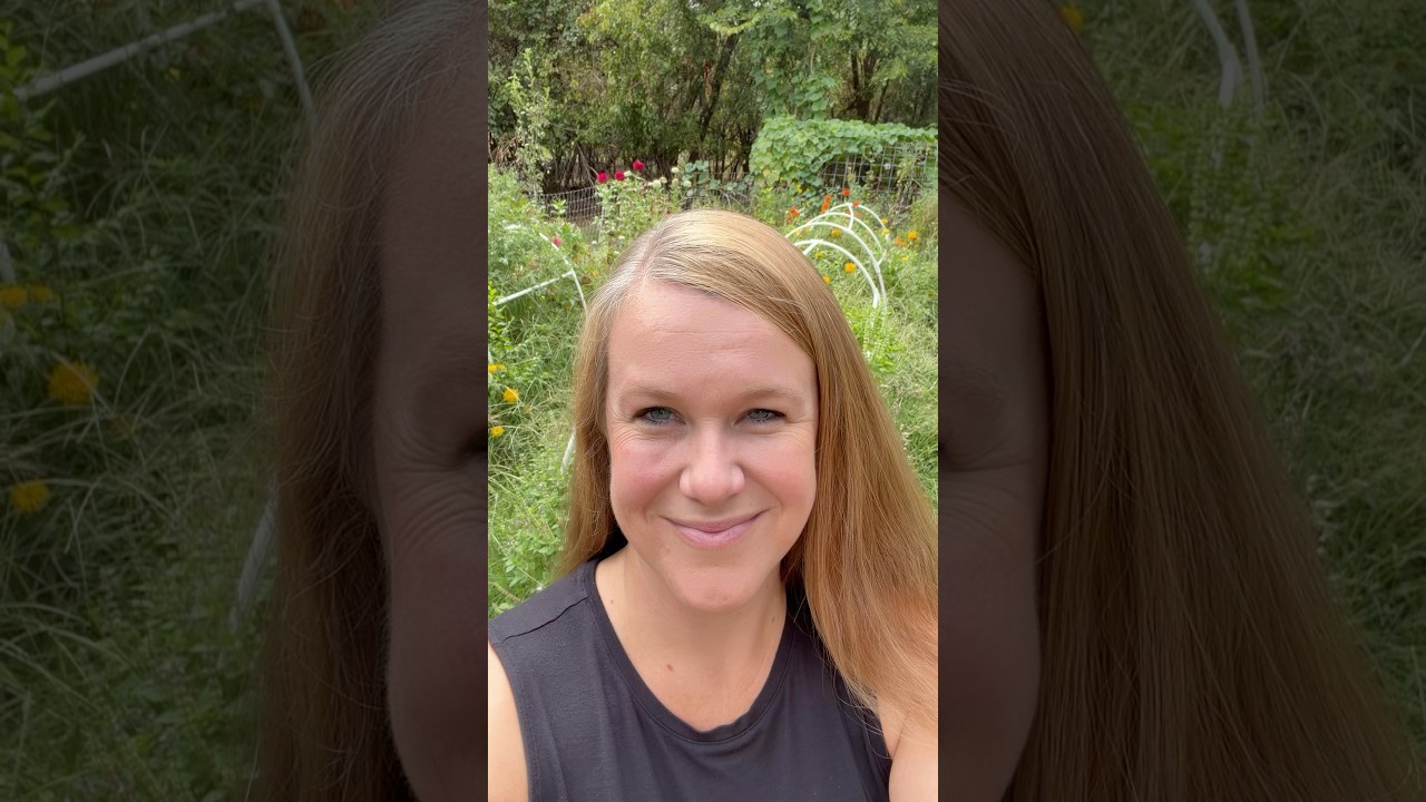 Uploads from From Seed to Spoon Garden Planning App