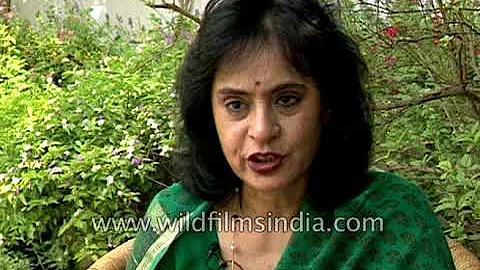 Author Gita Mehta releases her book 'Snakes and La...