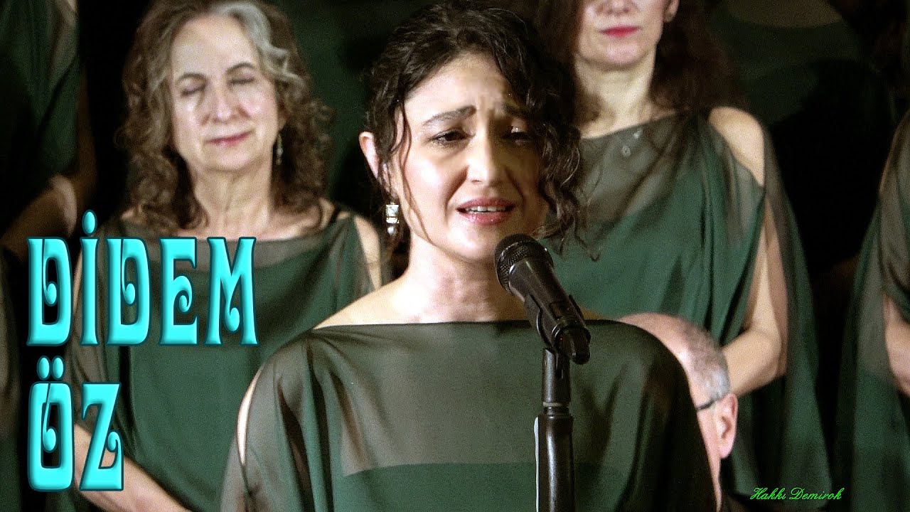 BENİ KÖR KUYULARDA MERDİVENSİZ BIRAKTIN - DİDEM ÖZ