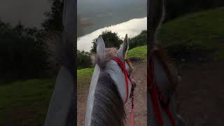 #istanbul #at #binicilik