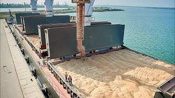 Export of food wheat from Russia. Loading of the vessel with grain.