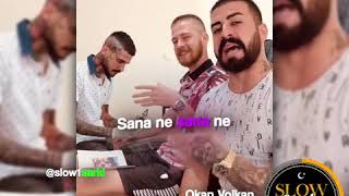 BEDO-Sanane Okan-Volkan Resimi