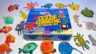 Colour Changing Sea Animals Toys - Clownfish, Cowfish, Octopus, Pufferfish, Crab, Seahorse, Beta