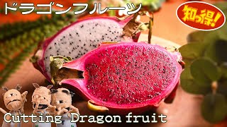 【甘くない!そんな時のアレンジ・おいしく食べるレシピやヒント】ドラゴンフルーツのカット方法 Cutting Dragon fruit(Recipes and tips for eating well)