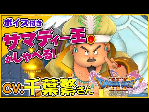 ドラクエ　まとめ売り CV:千葉繁さん サマディー王がちょっとぽんこつでおもしろい