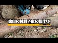 裏山の材料で庭の柵作り