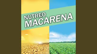 Nutreo Macarena - The Four-Decade Duo