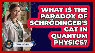 What Is The Paradox Of Schrödinger