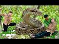 72 Hours of Terror 😱 Confronting a Giant Python Hiding Underground on the Farm