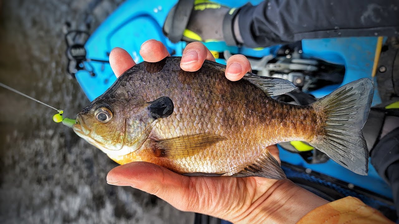 May new BFS reel came in today! Shimano Curado BFS : r/Fishing_Gear