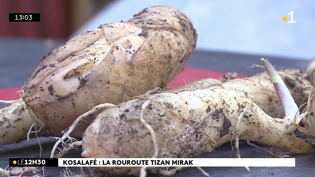 Kosalafé Raymond Lucas l’arrow-root