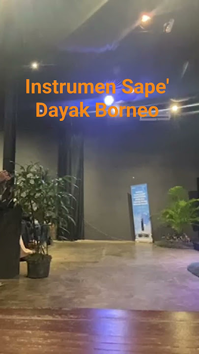 instrumen Sape' Dayak Borneo #shortvideo #savesape'dayak #saveinstrumentradisional #musikindonesia