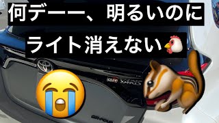 オートライト調整出来るか？明るいのにライトが消えない⭐️故障⭐️？