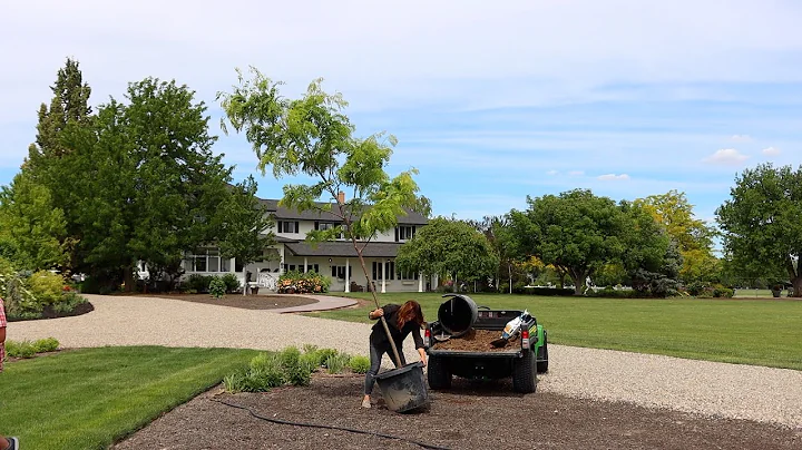 Planting Honey Locust Trees + Picking Out Stones & Marking a New Pathway! 🌳💚 // Garden Answer - DayDayNews