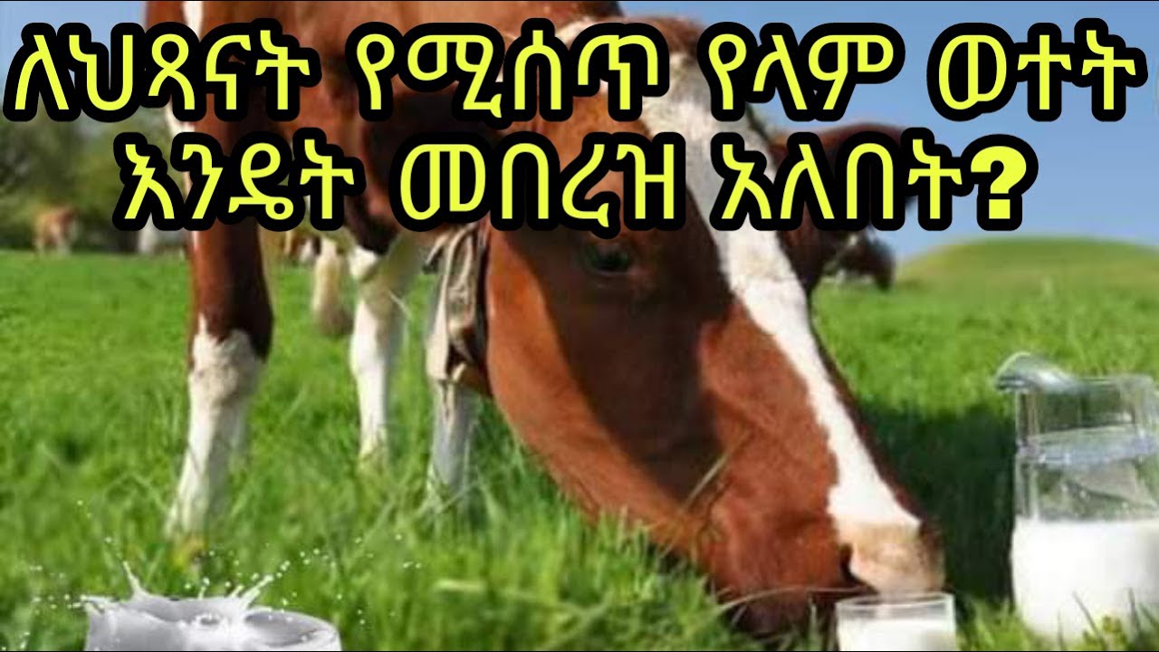 ለህፃናት የላም ወተት ስናዘጋች እንዴት መበረዝ አለበት?