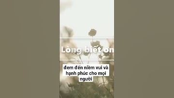 Khám phá thú vị - #6 Lòng biết ơn p1- Thắc mắc của Rosie #shorts Vì con là một điều kì diệu