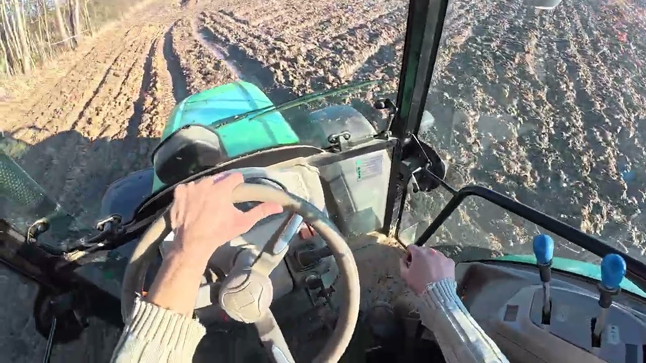 Zaczynamy nawozy 2026! Czy pietruszka przetrwała zimę?